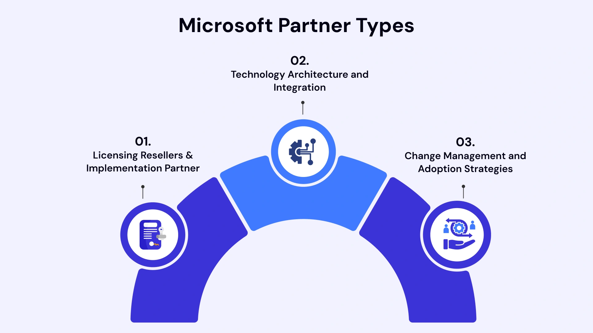 Ideal Microsoft Partner Types
