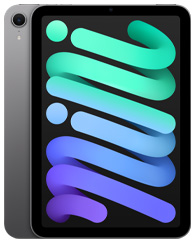 iPad mini (A17 Pro) in Space Gray