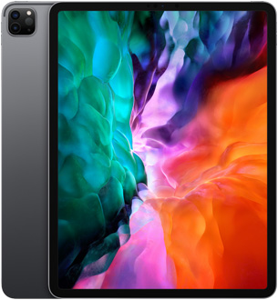 iPad Pro 12.9-inch (4th generation) in Space Gray