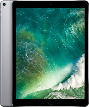 iPad Pro 12.9-inch (2nd generation) in Space Gray