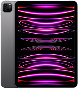 iPad Pro 11-inch (4th generation) in Space Gray