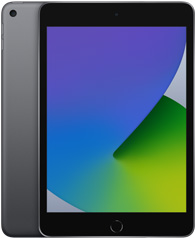iPad mini (5th generation) in Space Gray