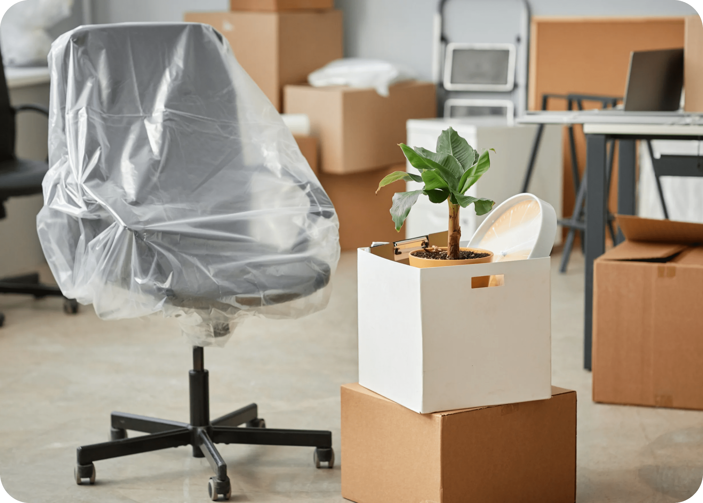 commercial office cleanout services connecticut