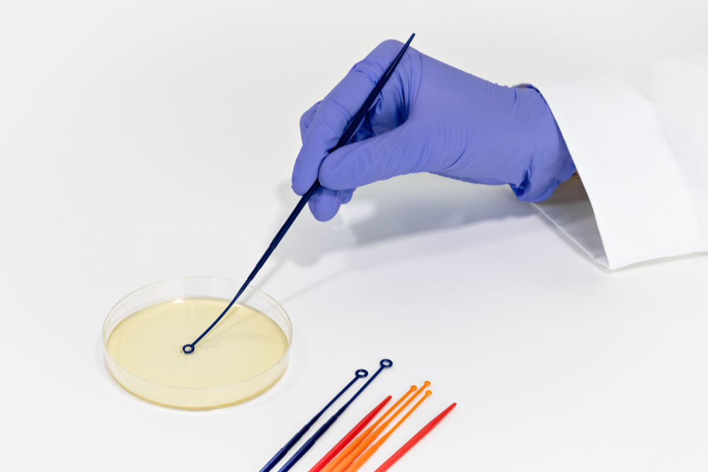 Product Family Page: Gloved hand using Typenex Medical's rigid/flexible inoculation loop to streak specimen sample on agar culture plate.