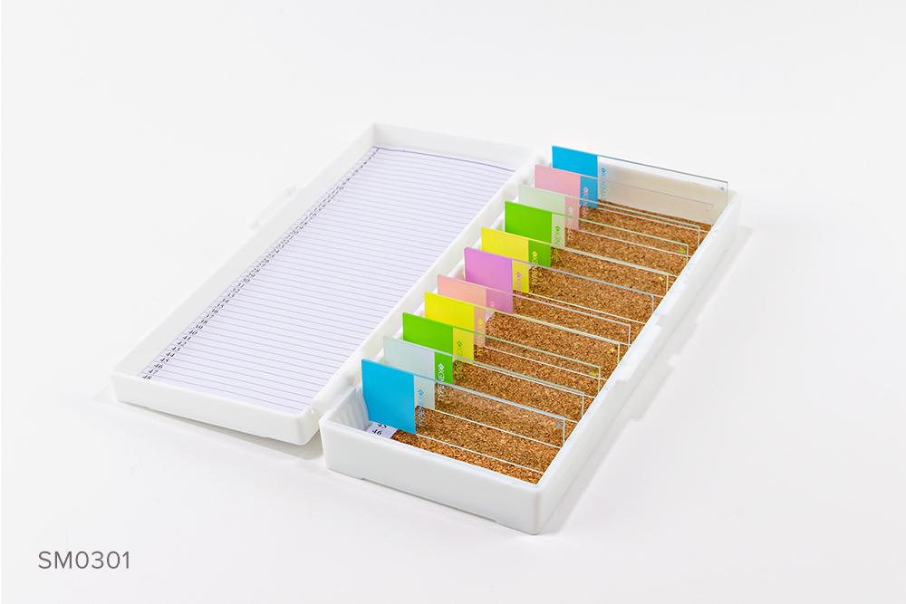 White plastic microscope slide storage box with corked bottom containing assorted color-coded microscope slides. Numerical index up to 50.