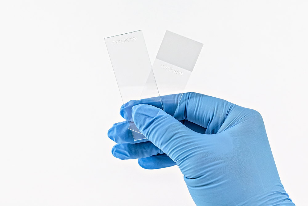 Gloved hand holding 2 Typenex Medical ViewSafe Economy Microscope Slides, clear with matte frosted finish on ends.
