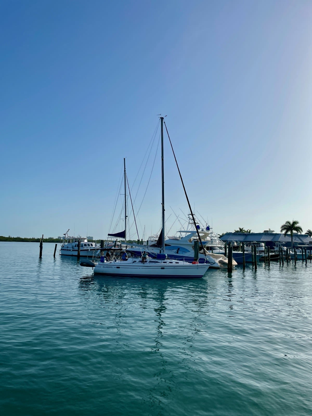 Sailboat in the water