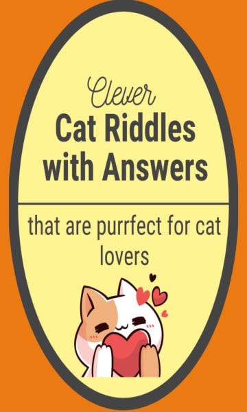 CAT RIDDLES | Confidence Meets Parenting