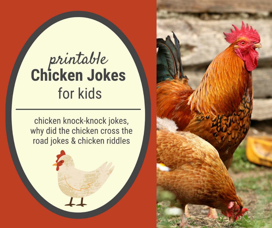 chicken jokes for kids chicken jokes for kids