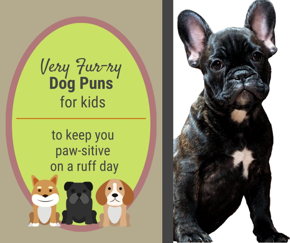 Pawsome Dog Puns That Are Funny And Cute Pawsome Dog Puns That Are Funny And Cute