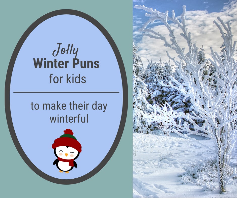 Winter puns Winter puns