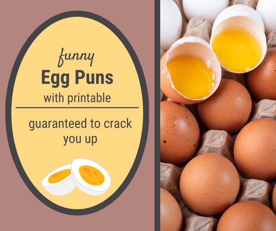 Egg Puns Egg Puns