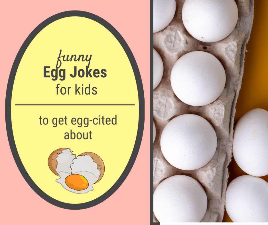Egg Jokes Egg Jokes