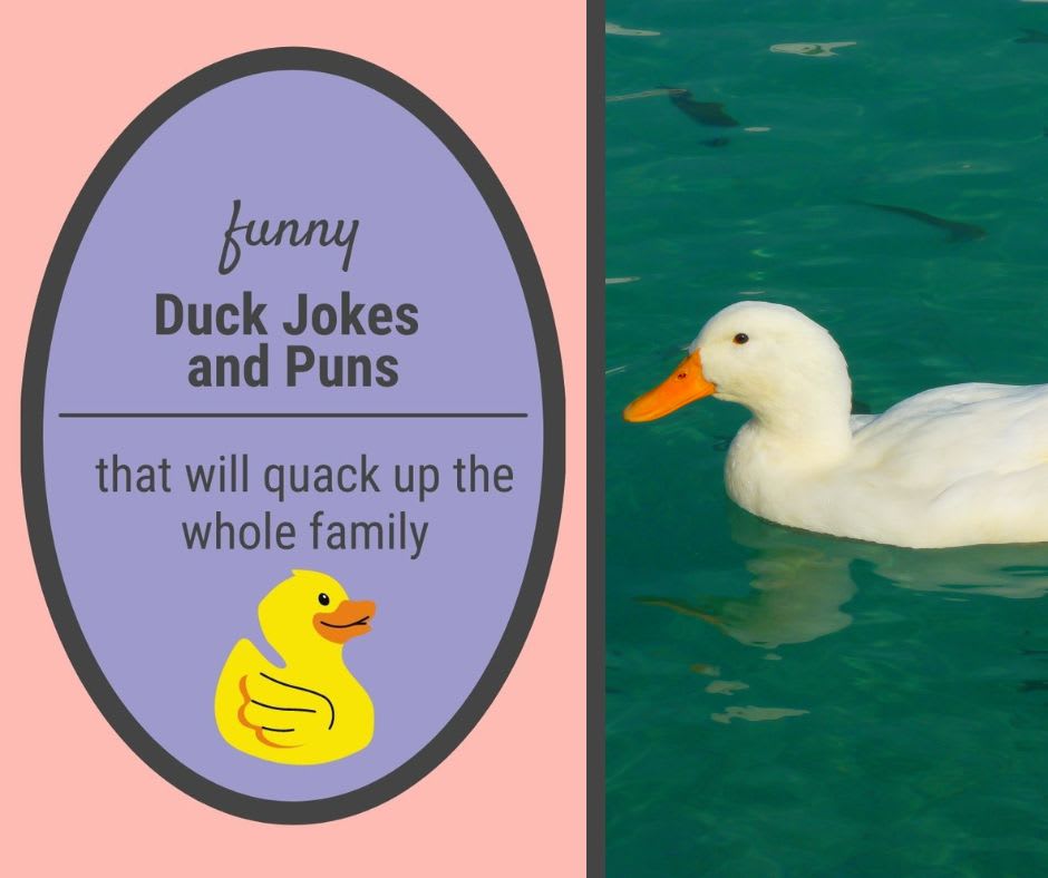 Duck Jokes Duck Jokes