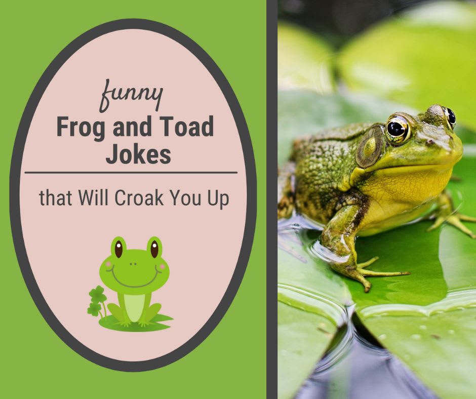 Frog Jokes Frog Jokes