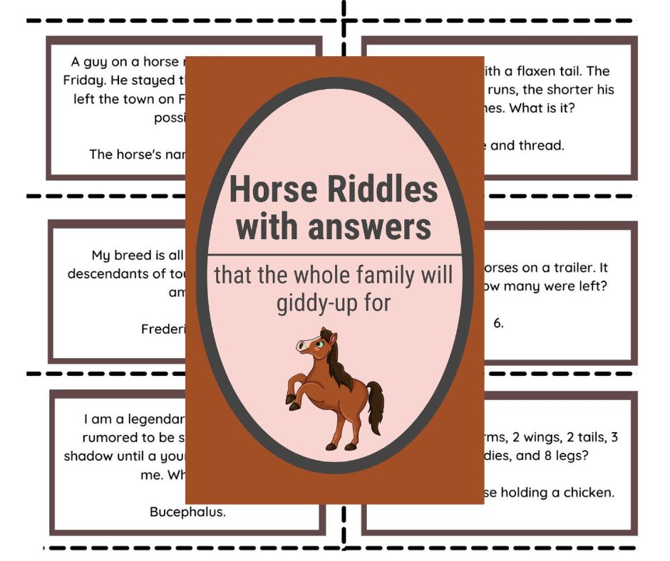 Riddles about Horses the Whole Family Will GiddyUp For