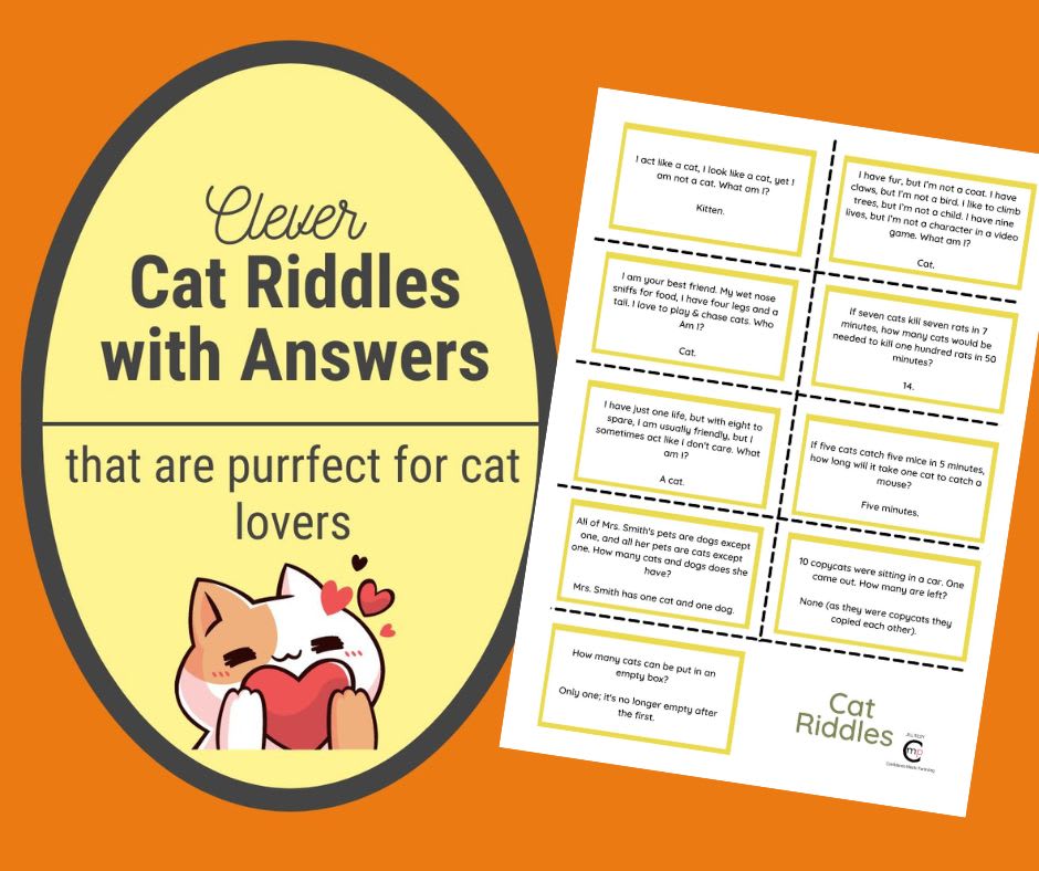 Cat Riddles Cat Riddles