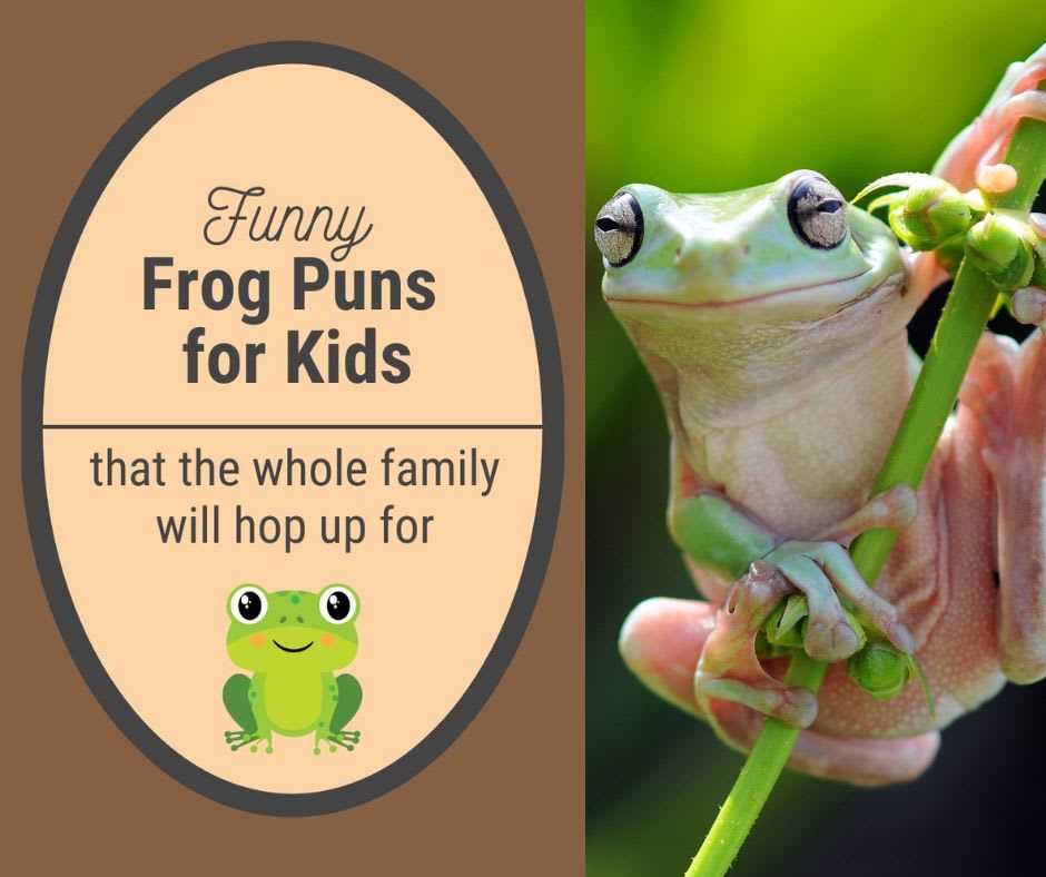 Frog Puns Frog Puns