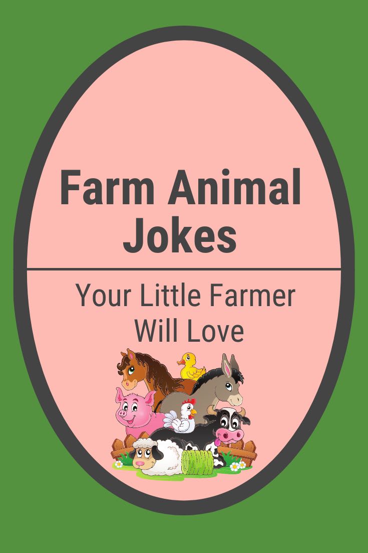 Farm Animal Jokes Farm Animal Jokes