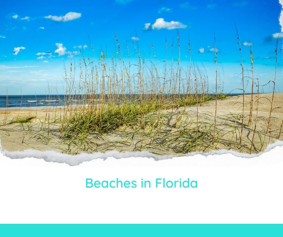 Best Beaches in Florida