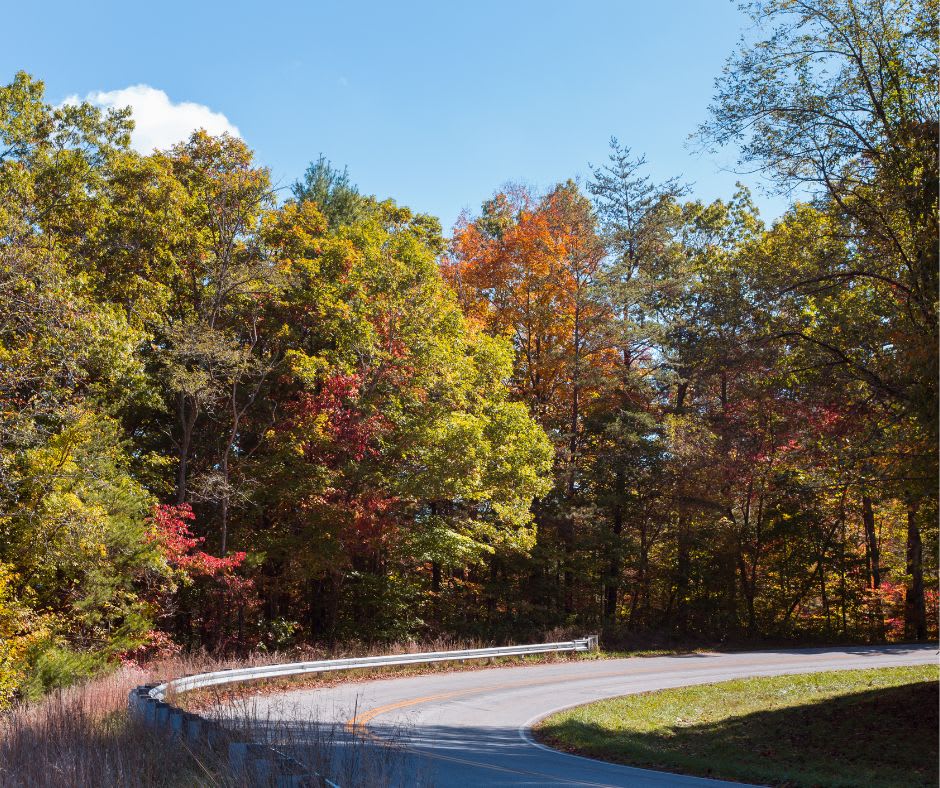 Things To Do Near Tail of The Dragon.jpg