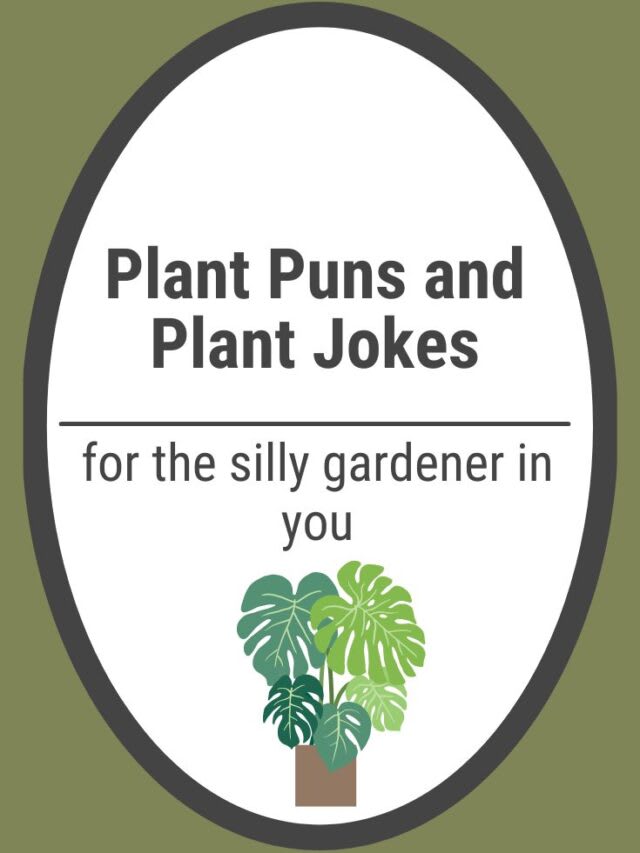 PLANT JOKES AND PUNS Confidence Meets Parenting