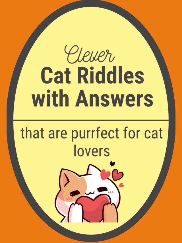 CAT RIDDLES Confidence Meets Parenting