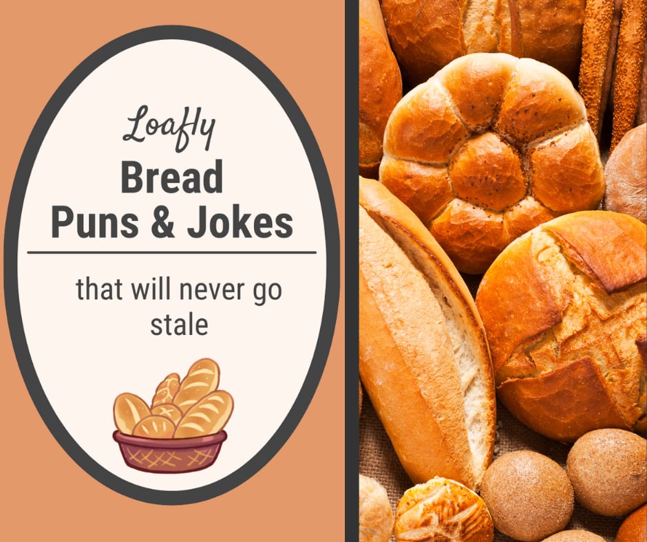 Bread Puns and bread jokes for kids and adults Bread Puns and bread jokes for kids and adults