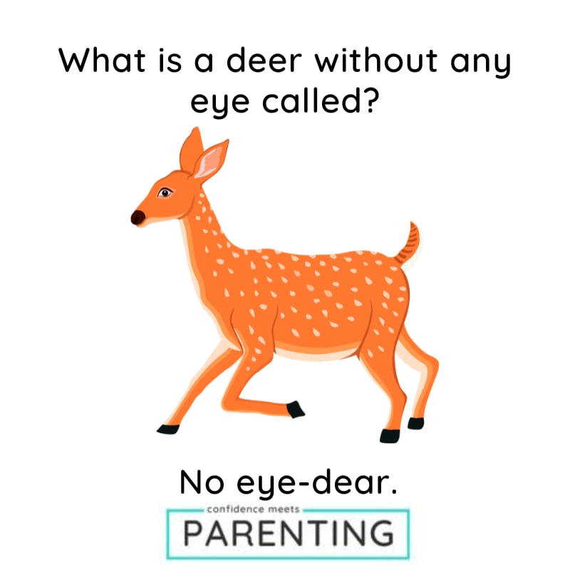 Eye Puns and Eye Jokes Eye Puns and Eye Jokes