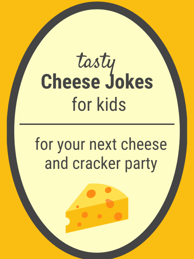BRIE PUNS CHEESE JOKES Confidence Meets Parenting