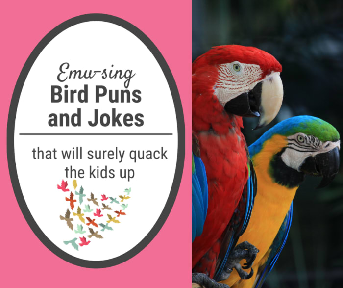 Bird Puns, Bird Jokes and Bird Riddles Bird Puns, Bird Jokes and Bird Riddles