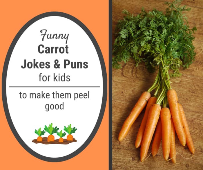 Carrot Jokes and carrot Puns Carrot Jokes and carrot Puns