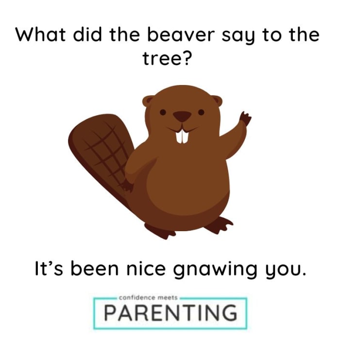 Camping Jokes And Puns: Laughs in the Great Outdoors!