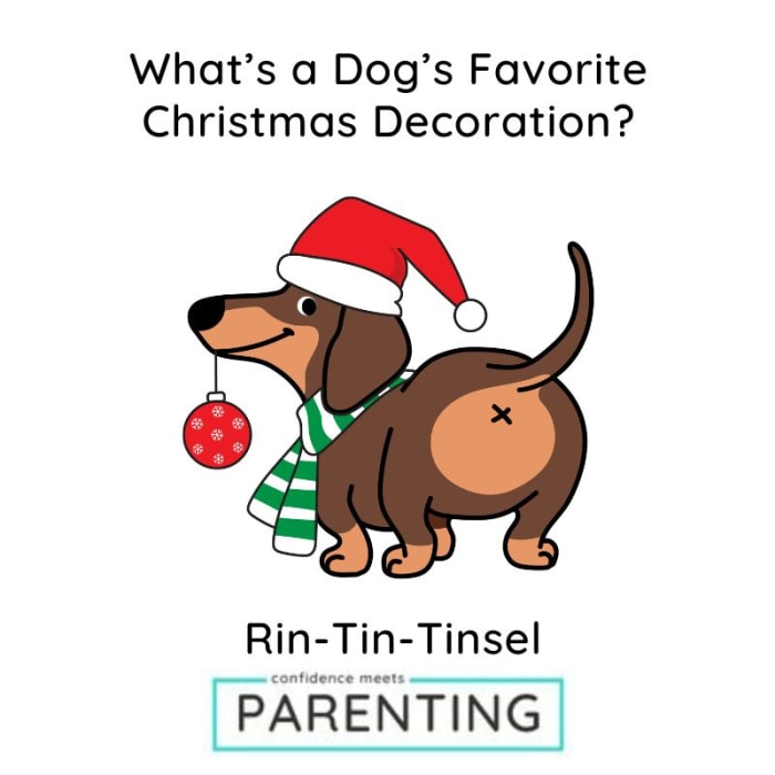 Pets For Christmas: Should You Gift A Dog Or A Cat? - Excerpts from OH