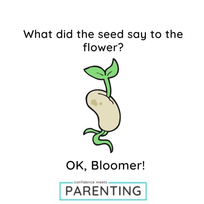 Spring Jokes and spring puns Spring Jokes and spring puns