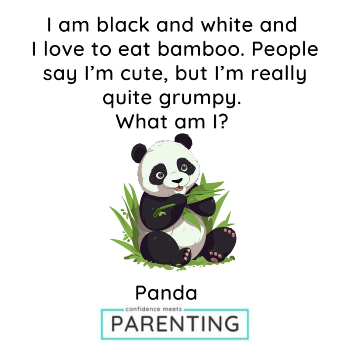 Animal Riddles for kids Animal Riddles for kids