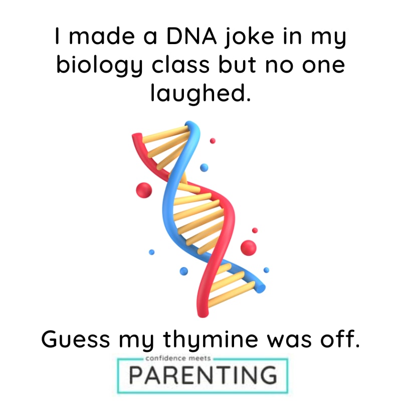 Science Puns Science Puns