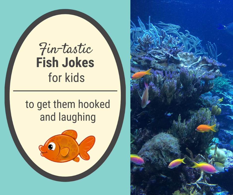funny fish jokes for kids funny fish jokes for kids