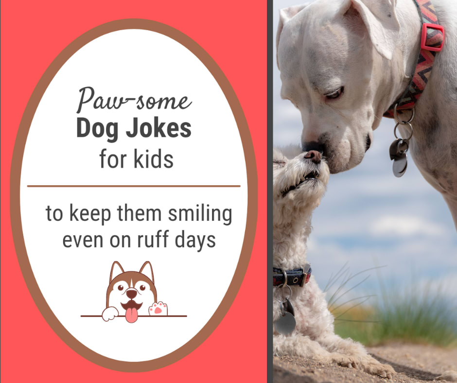 Easy Laughs with Dog Jokes for Kids | Printable Included Easy Laughs with Dog Jokes for Kids | Printable Included