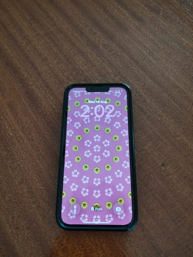 Apple iPhone 13 Pro