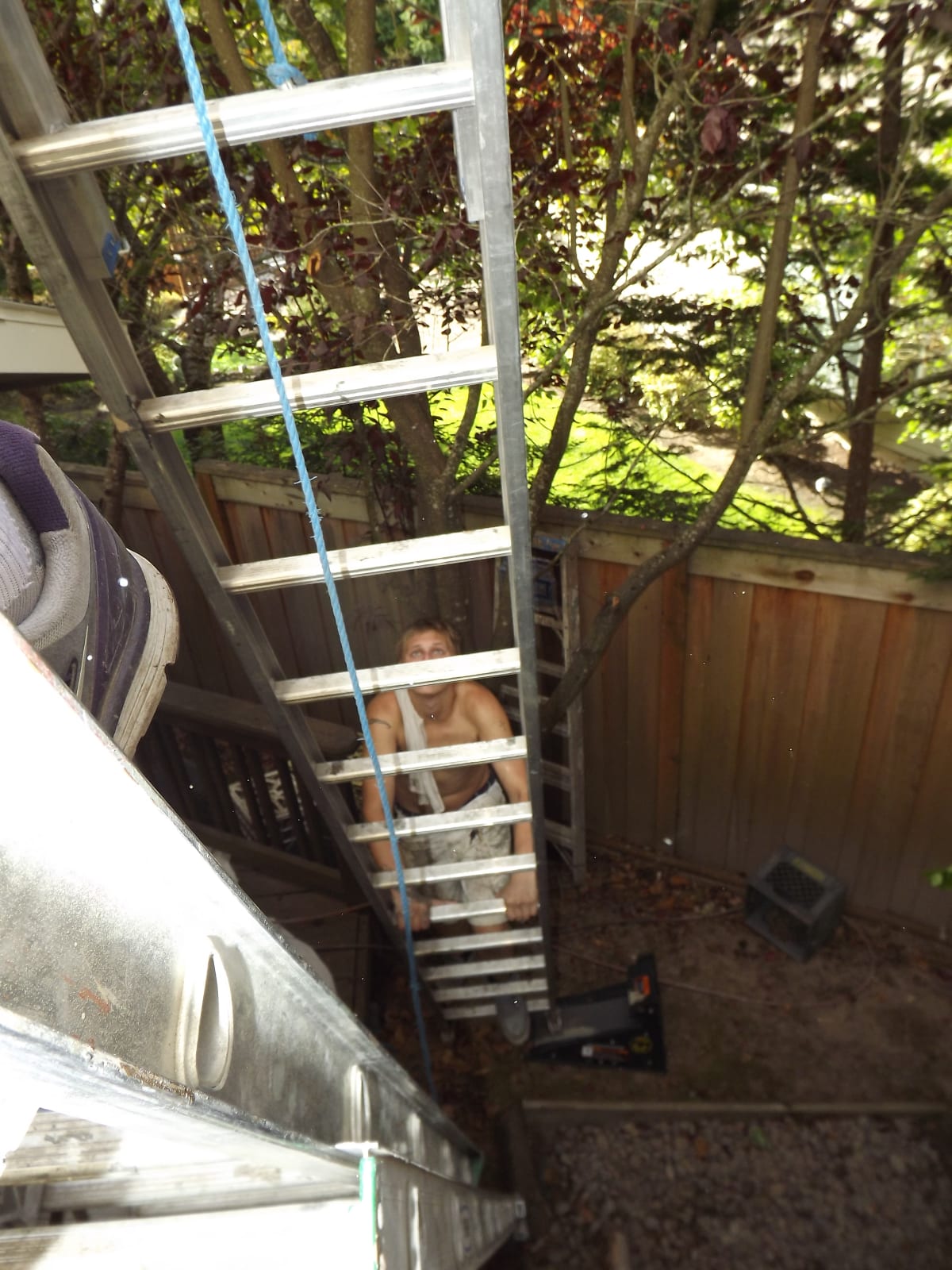 Aloha, OR Exterior Repaint 5 Gallery Image