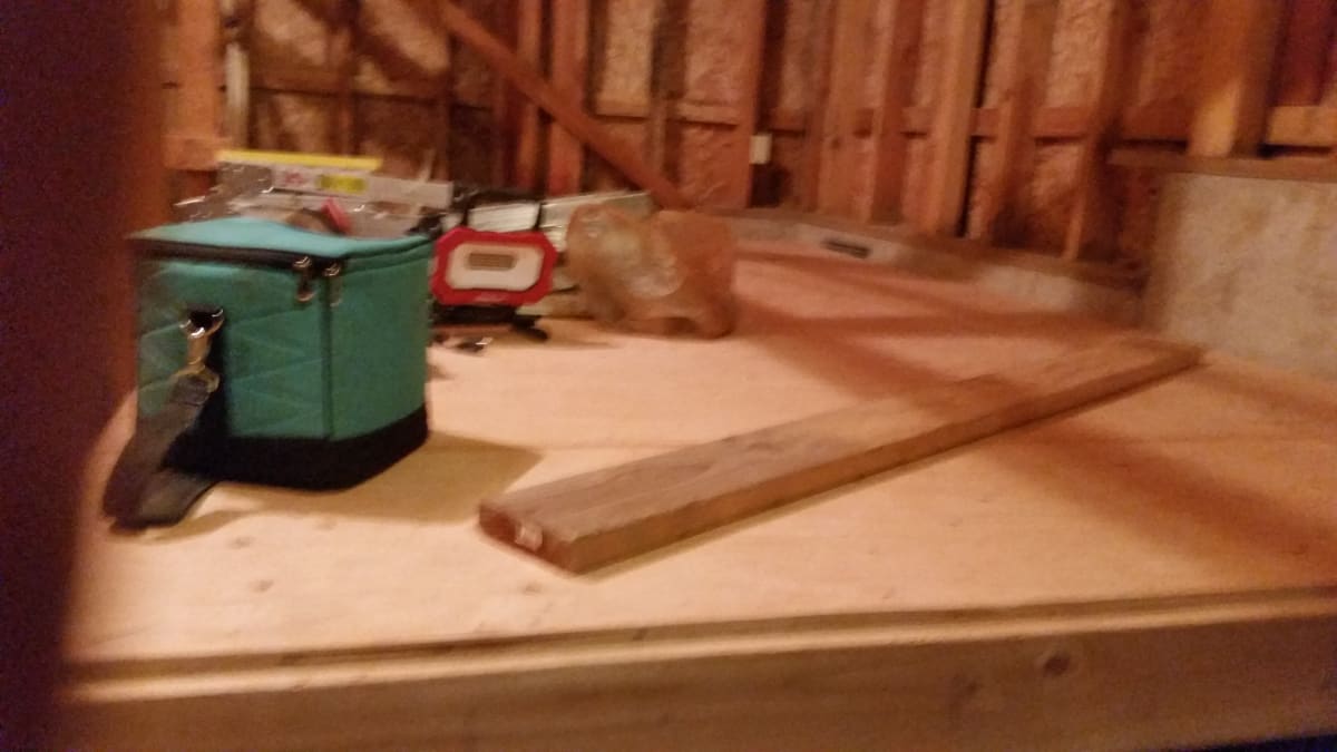 Aloha, OR Interior Basement Storage Framing & Sheeting Project Gallery Image