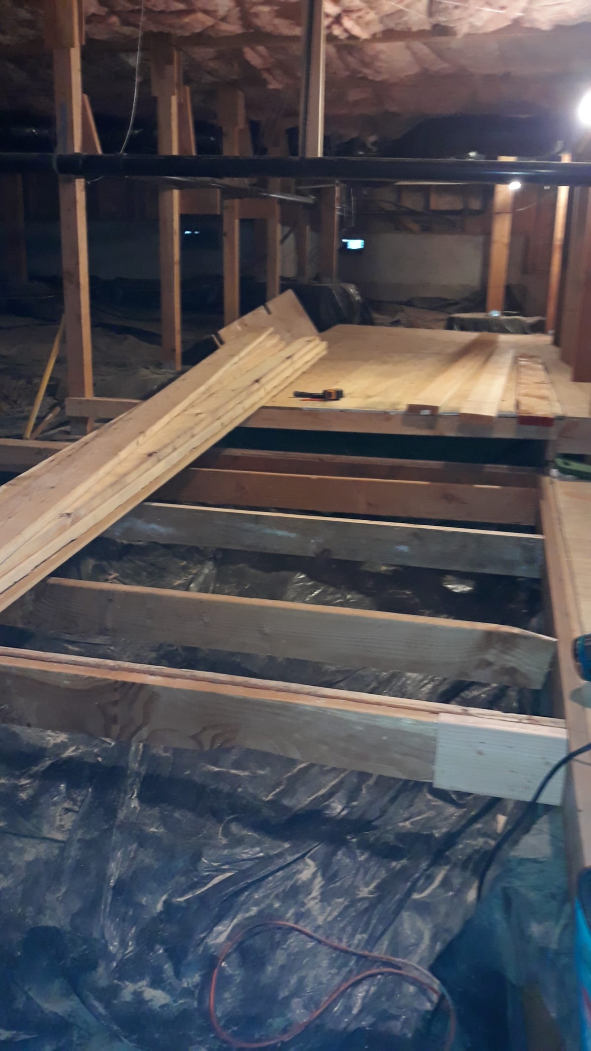 Aloha, OR Interior Basement Storage Framing & Sheeting Project Gallery Image