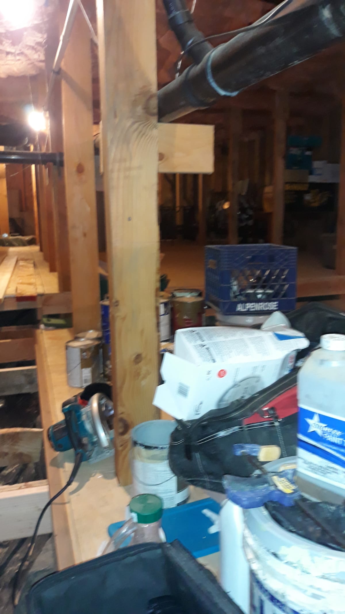 Aloha, OR Interior Basement Storage Framing & Sheeting Project Gallery Image