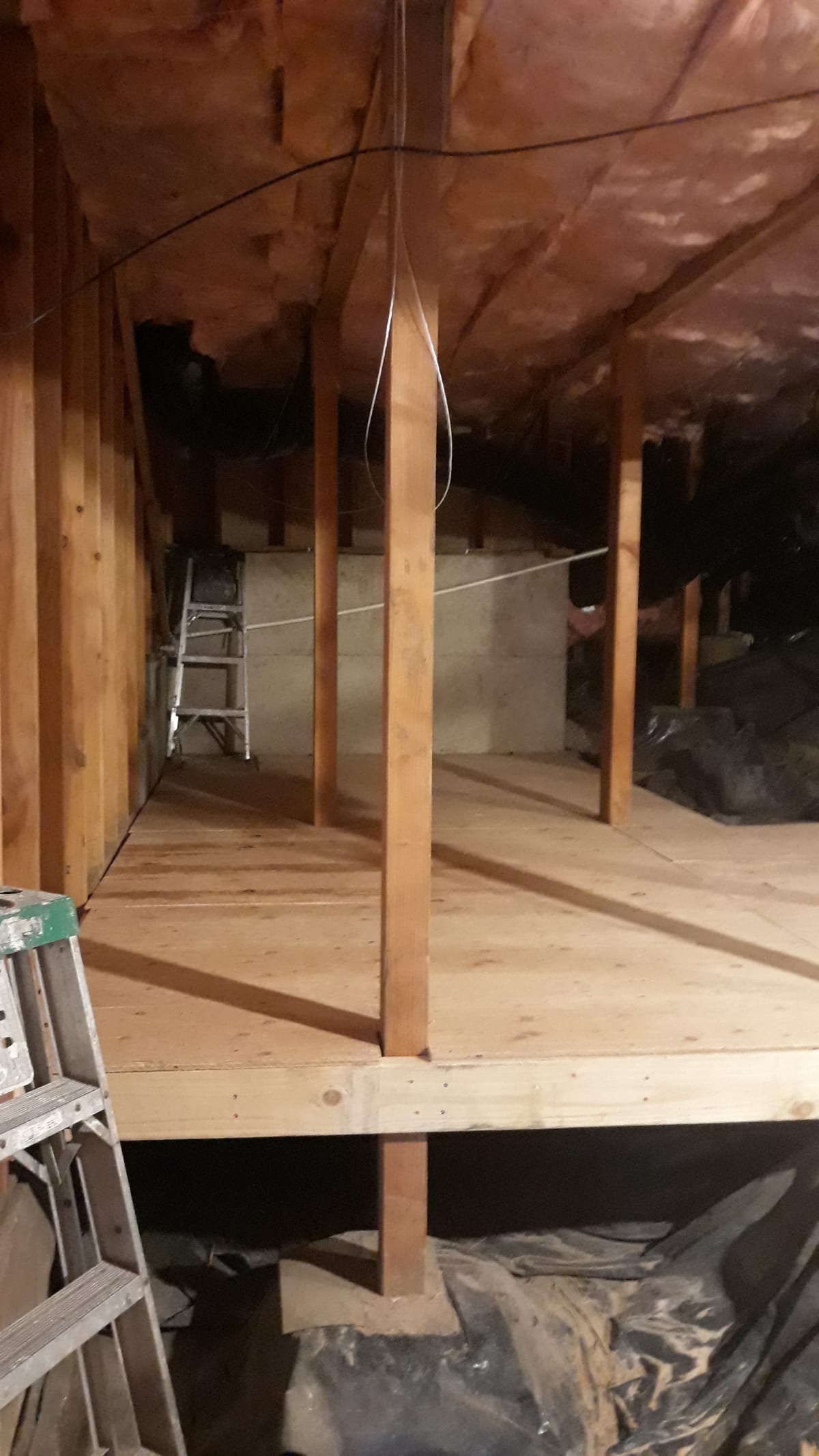 Aloha, OR Interior Basement Storage Framing & Sheeting Project Gallery Image
