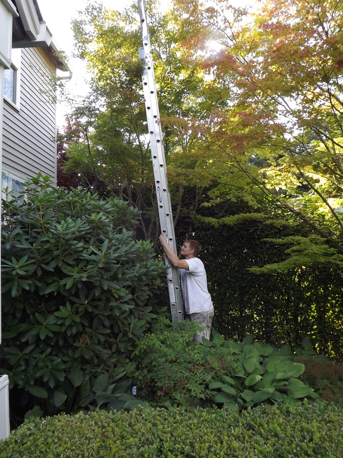 BA & CREW Gallery Image