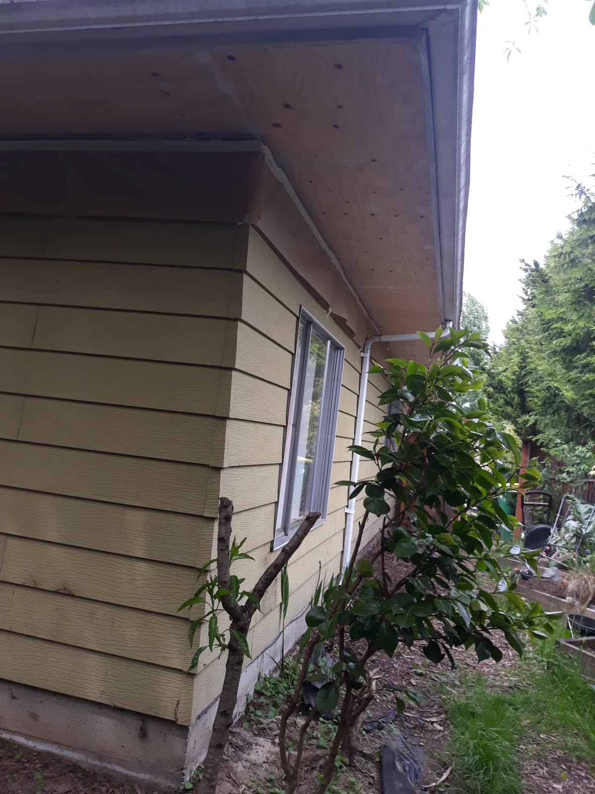 Beaverton Exterior Soffit Demo & Install & Repaint Gallery Image