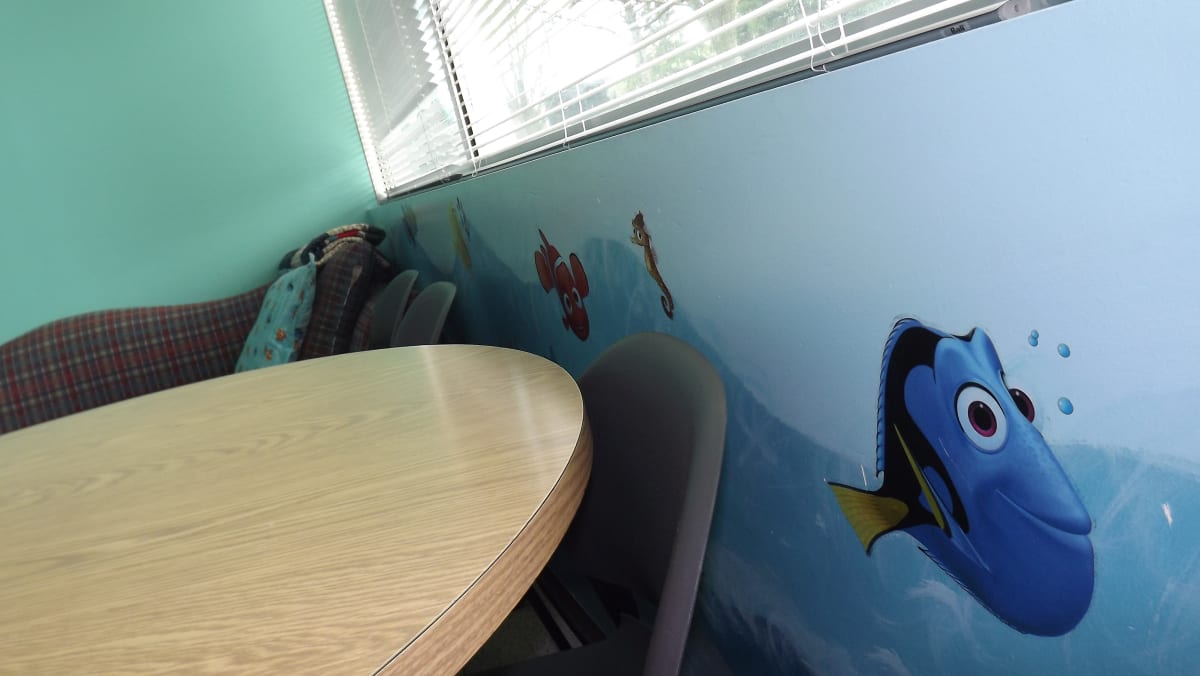 DHS REPAINT Gallery Image