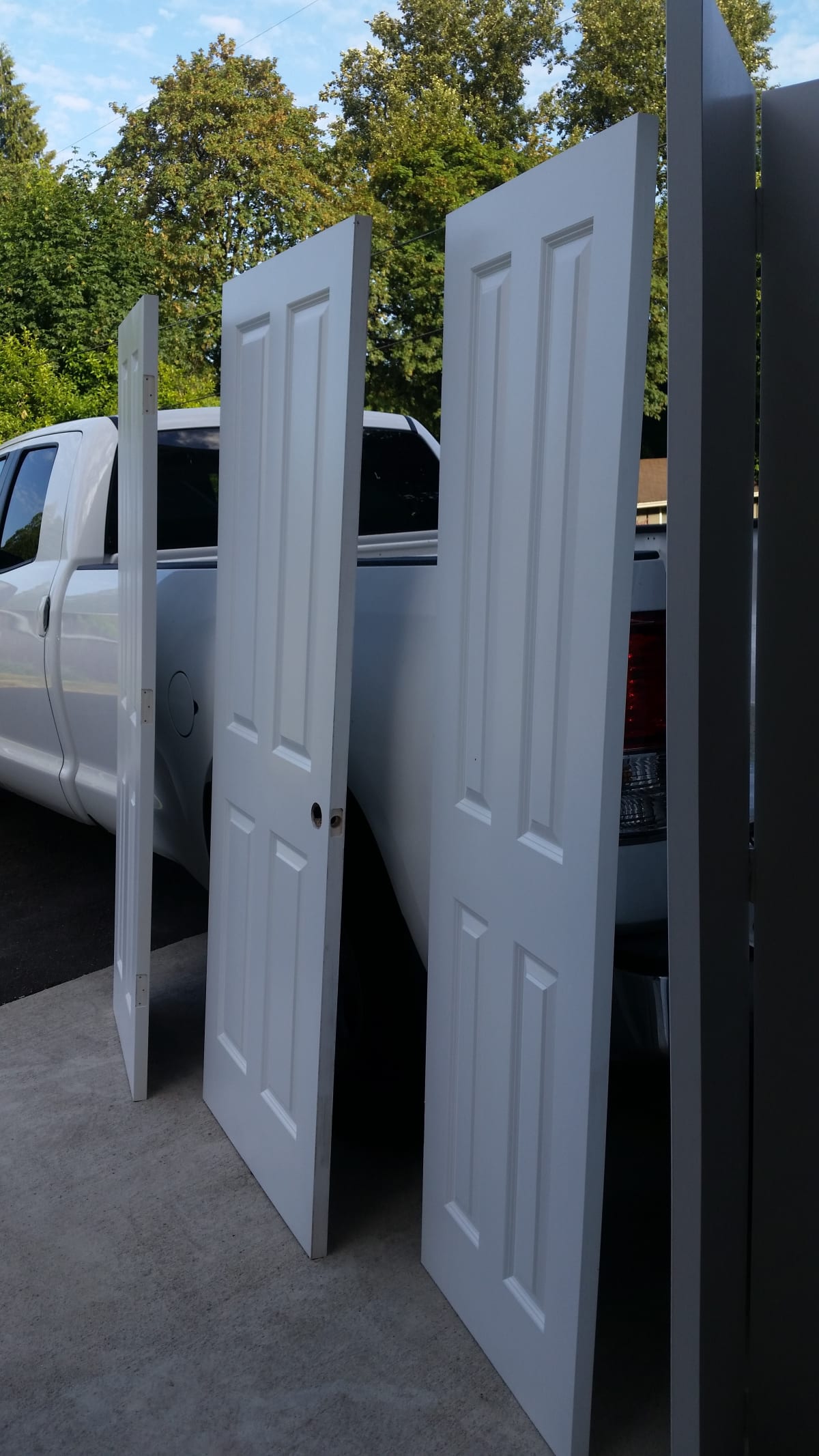 Interior Door Project Gallery Image