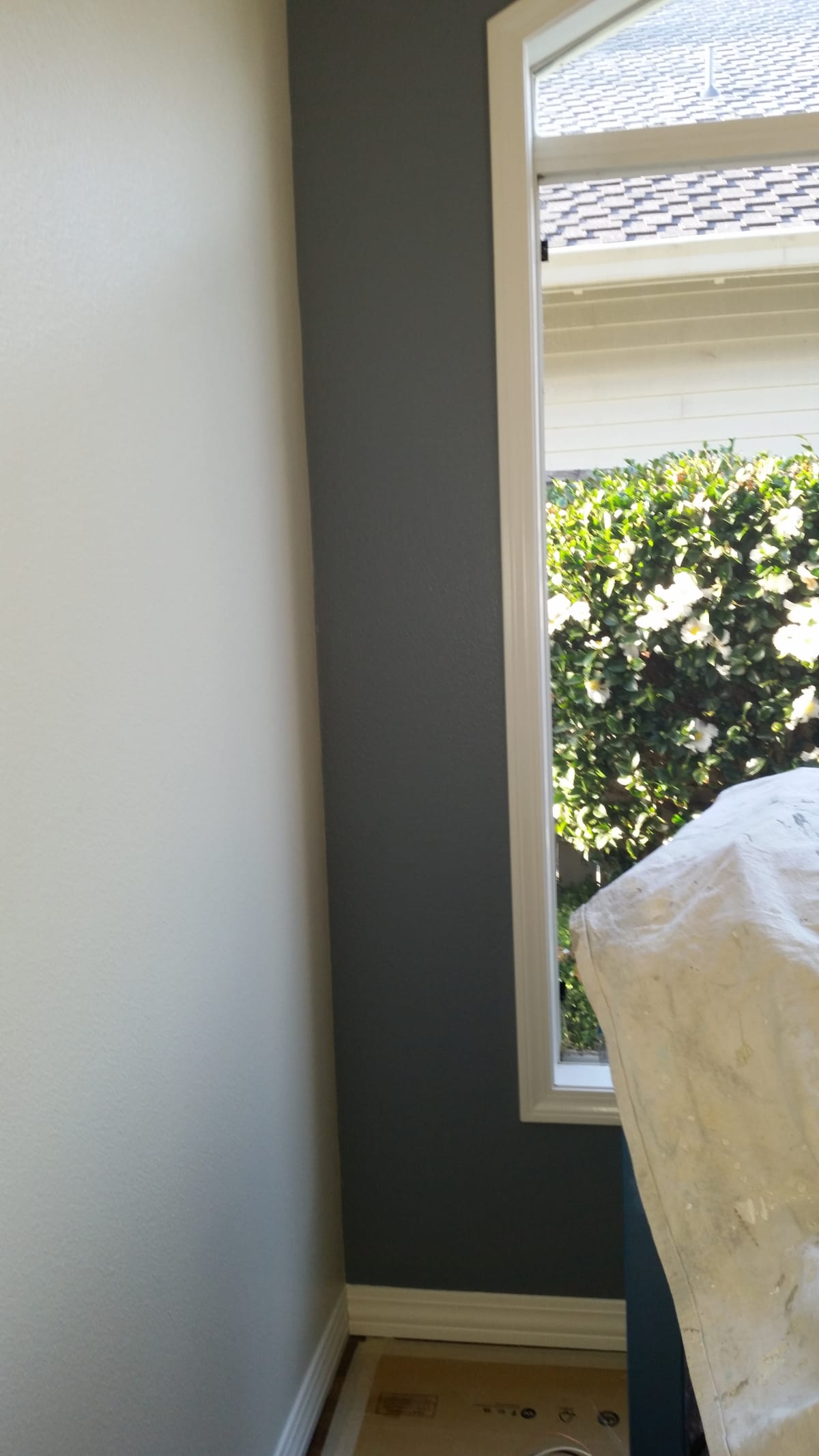 SW PDX Interior Repaint Gallery Image
